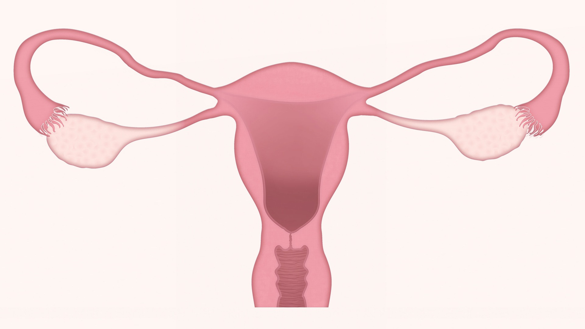 Oestrogeendominantie is een steeds vaker voorkomend probleem in de huidige maatschappij. Het komt bij steeds meer vrouwen voor. Het kan voor vervelende klachten komen